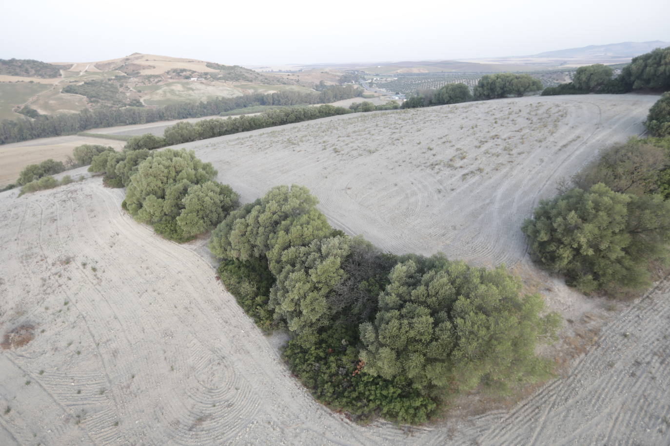 Fotos: la Sierra de Cádiz a vistas de pájaro