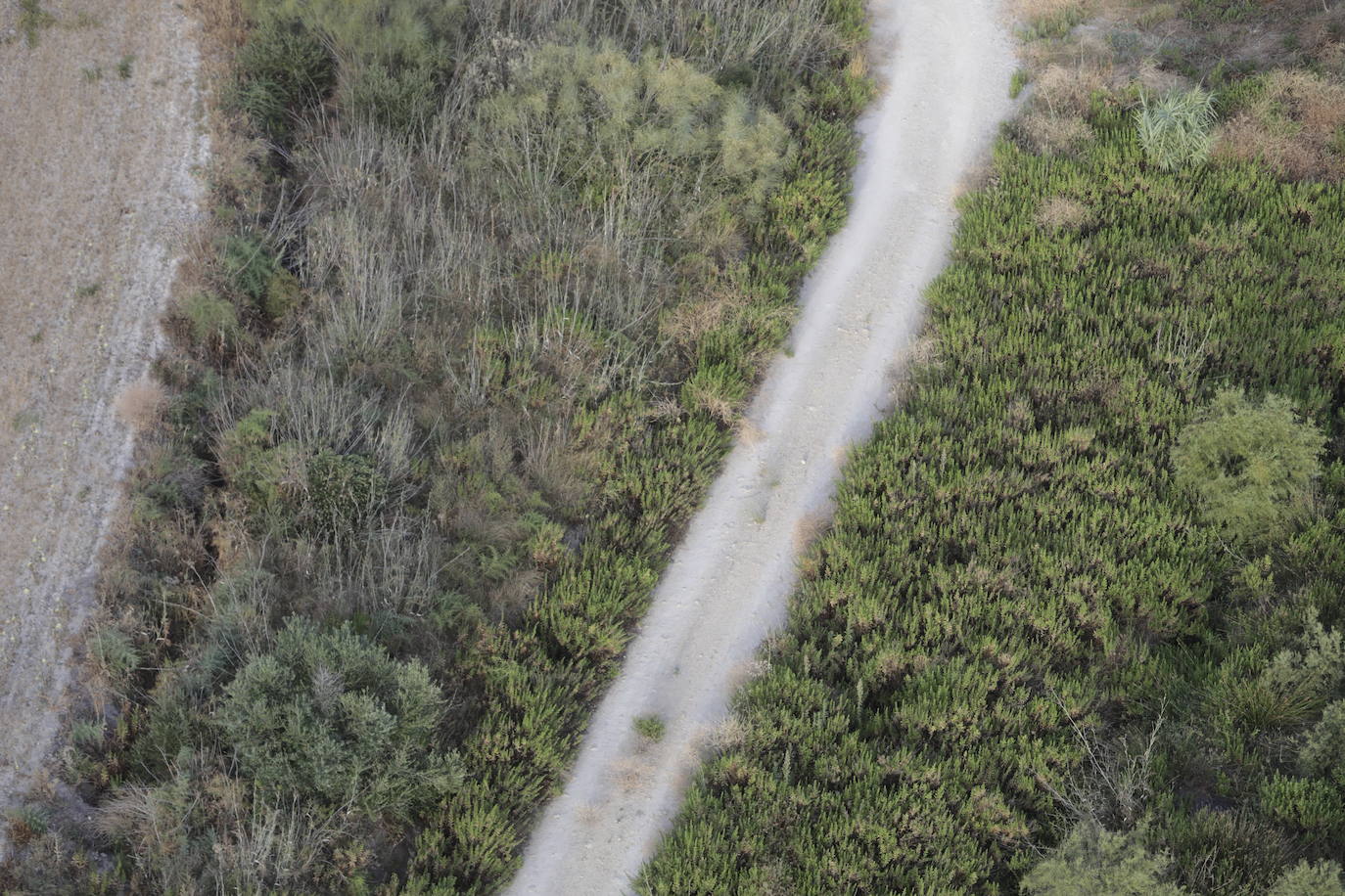 Fotos: la Sierra de Cádiz a vistas de pájaro