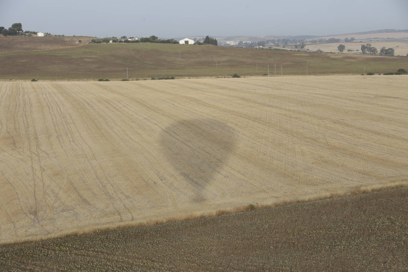 Fotos: la Sierra de Cádiz a vistas de pájaro