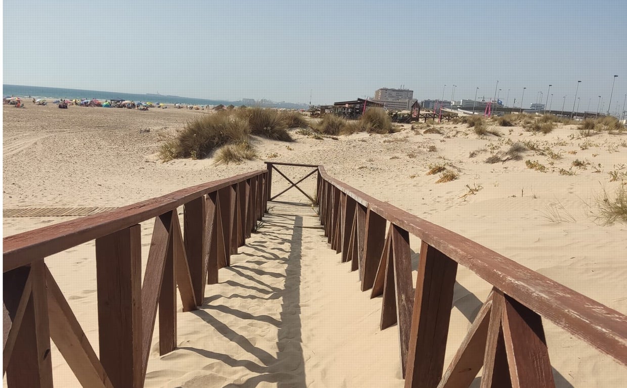 El PSOE de Cádiz insiste en la falta de limpieza en las playas de la ciudad