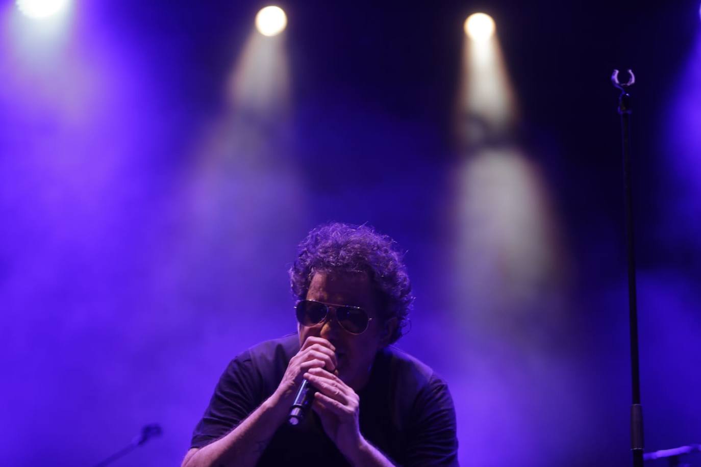 Fotos: El rock de Andrés Calamaro se muestra eterno en Chiclana
