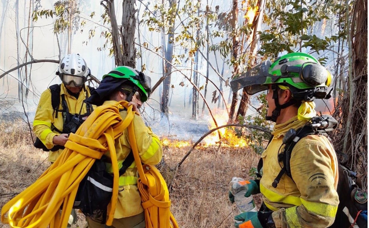 Extinguido el incendio en el paraje Sierra Carbonera en La Línea