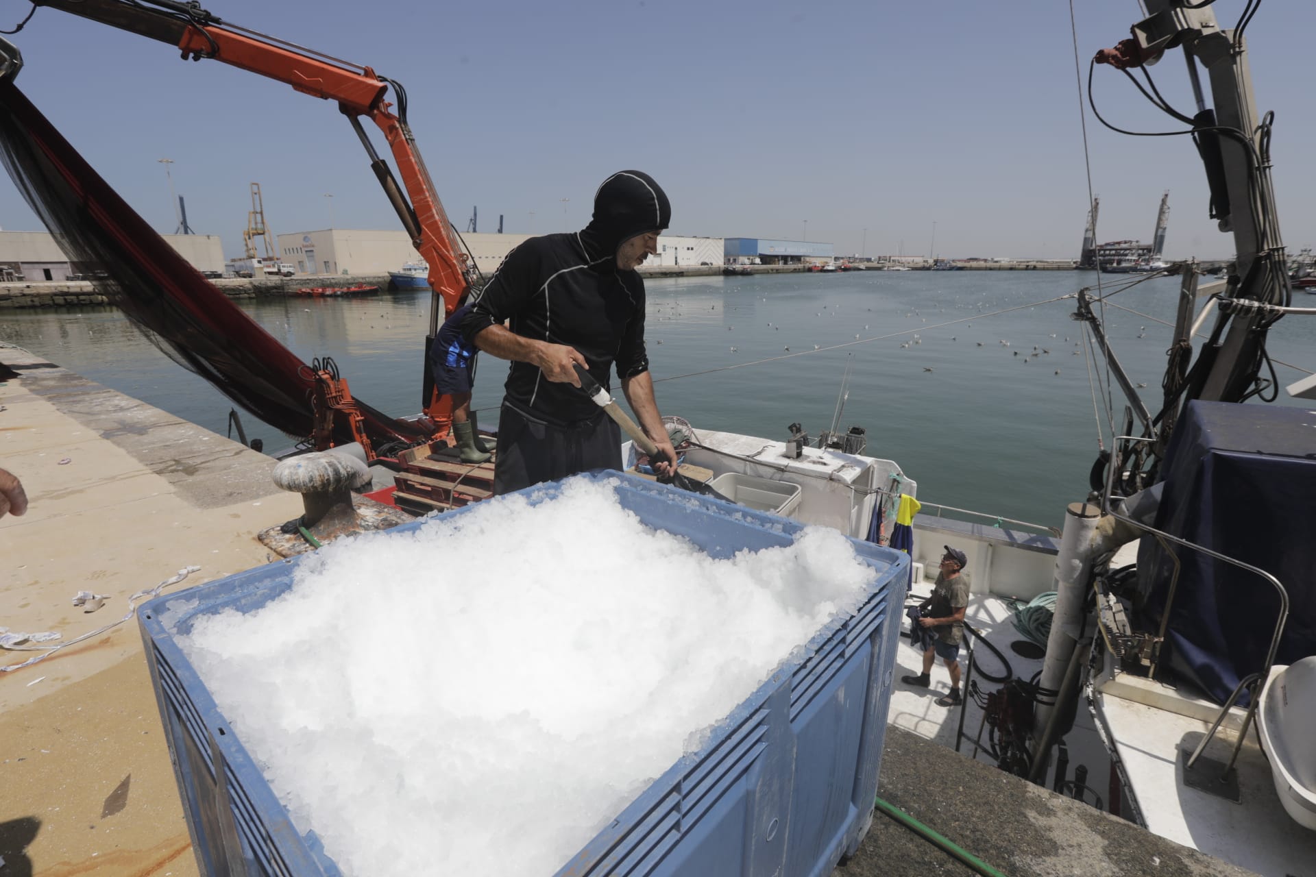 El hielo, un bien preciado