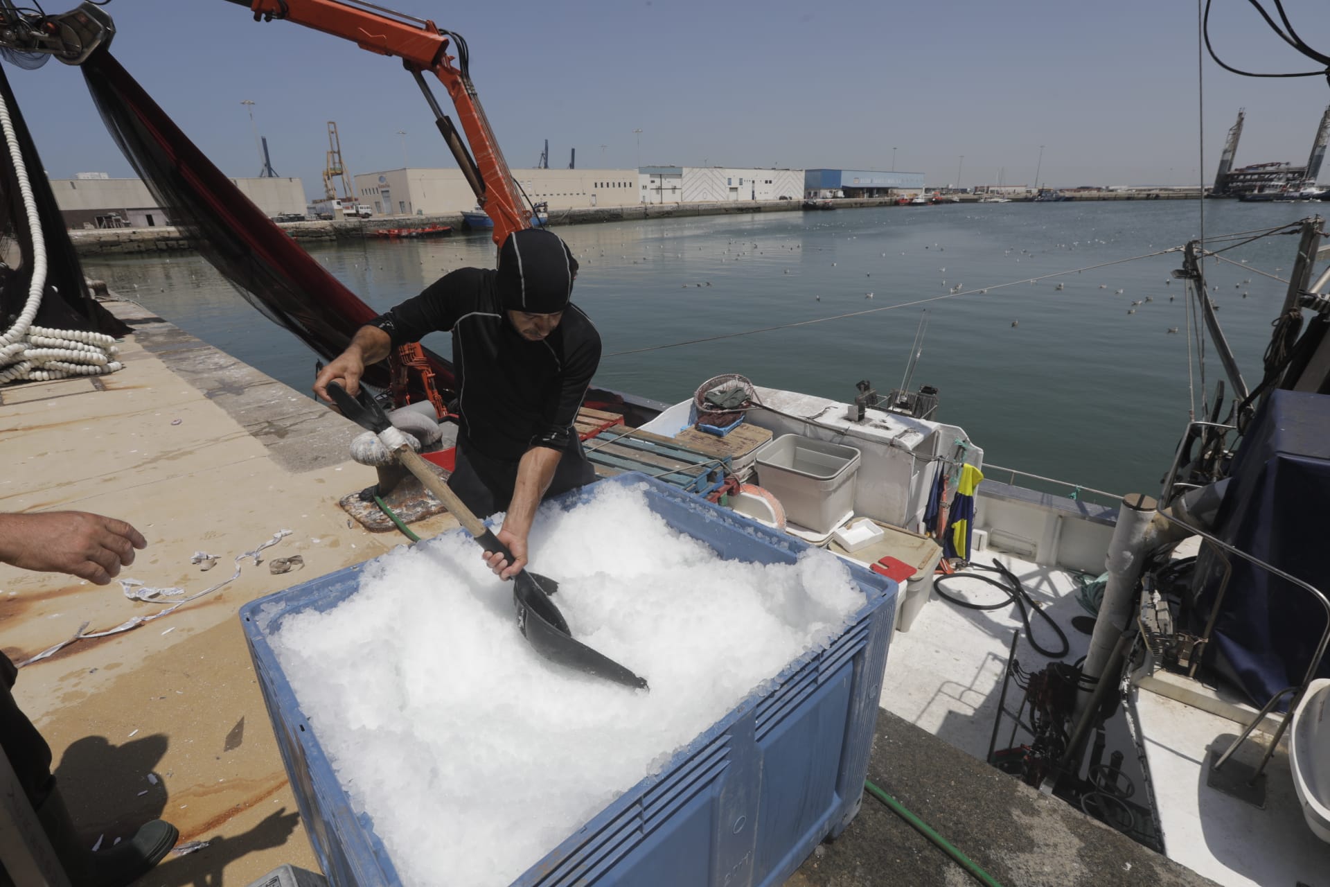 El hielo, un bien preciado