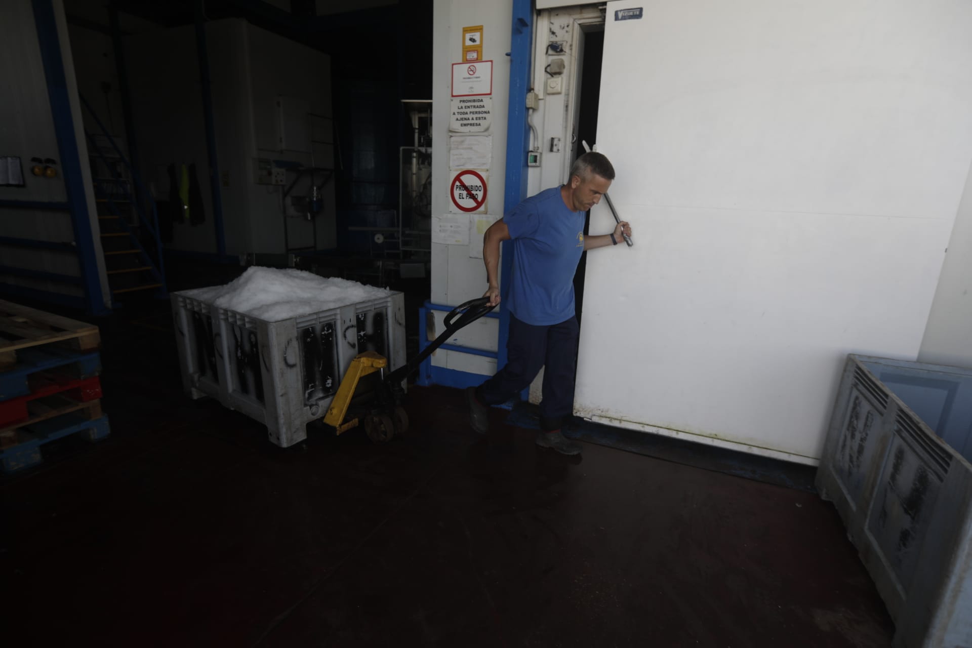 El hielo, un bien preciado