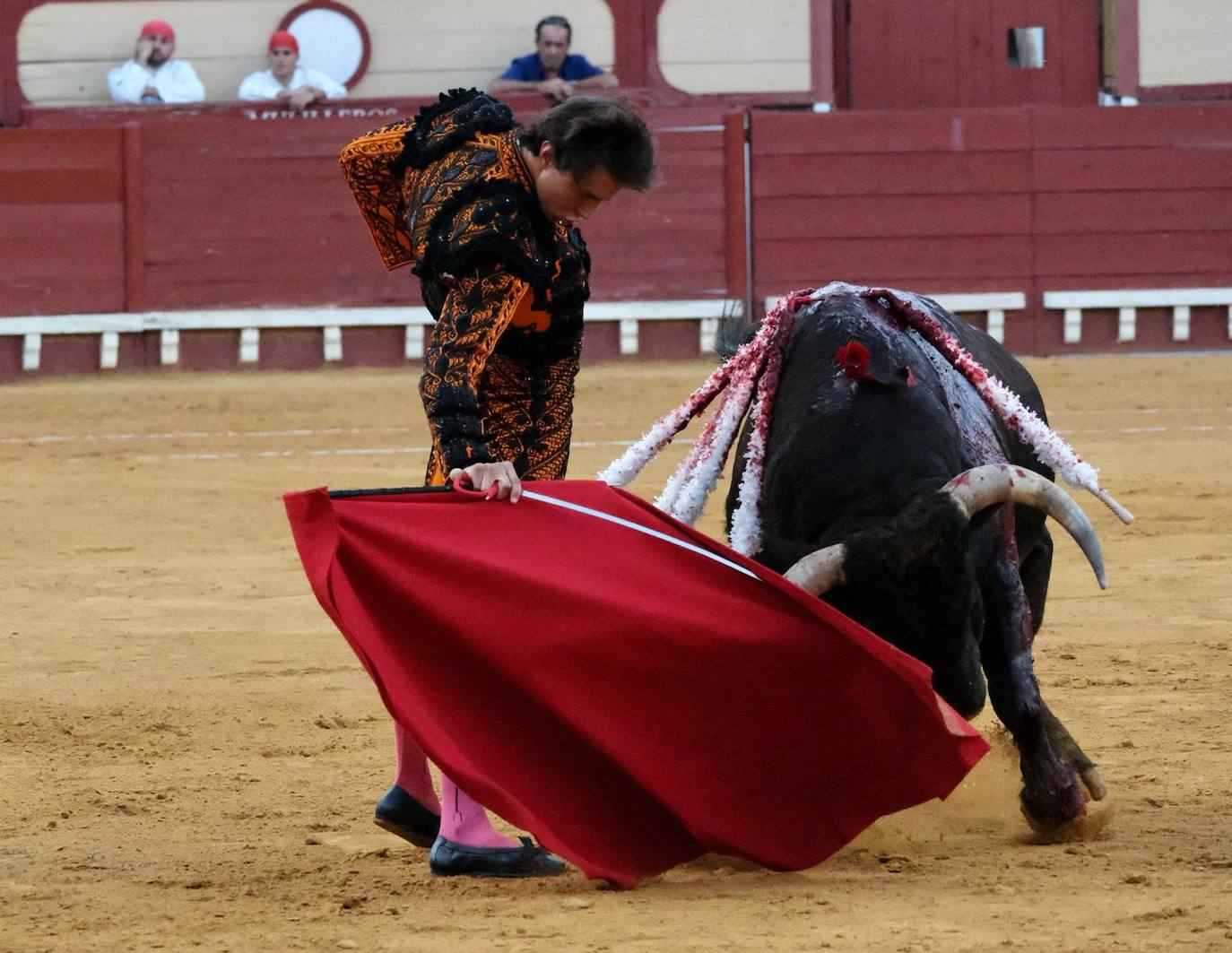 Toros en El Puerto