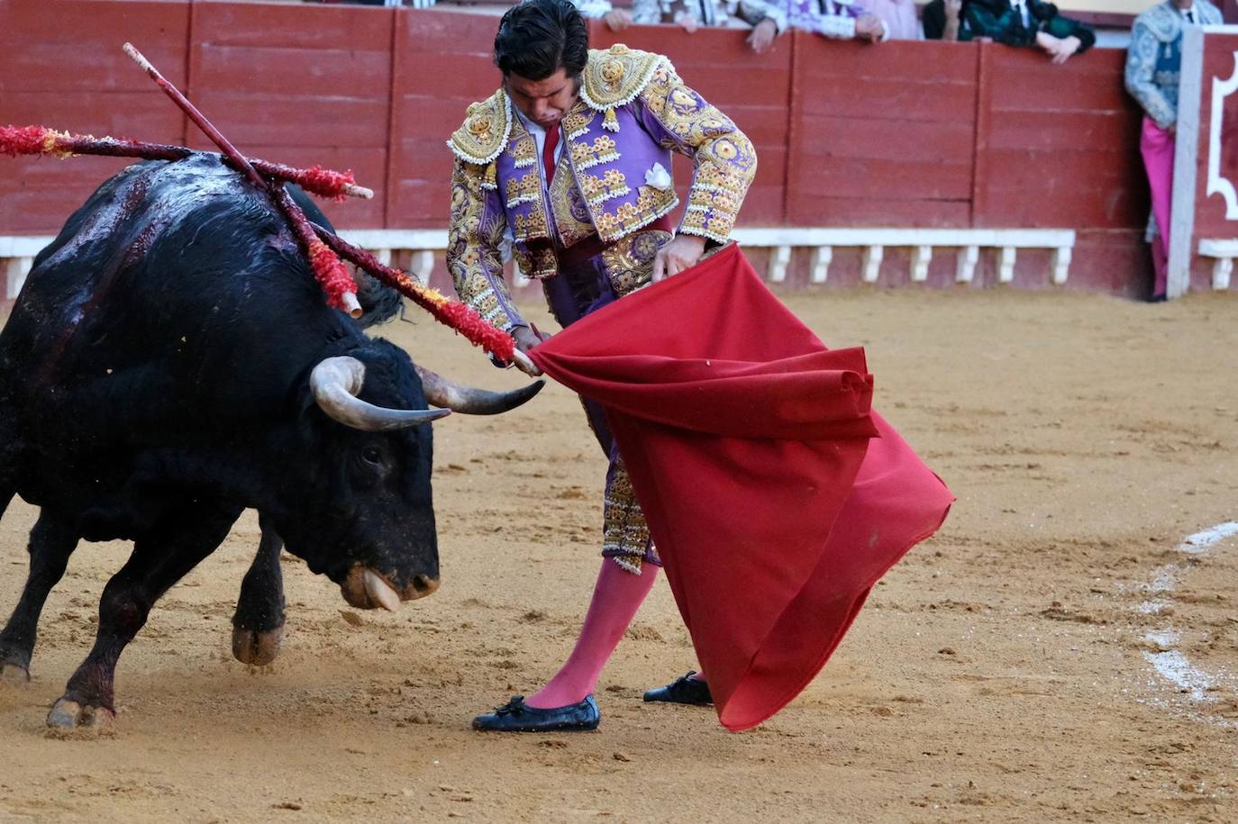 Toros en El Puerto