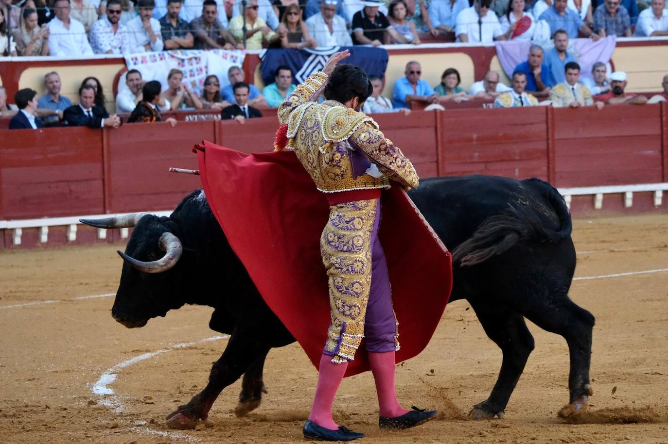 Toros en El Puerto