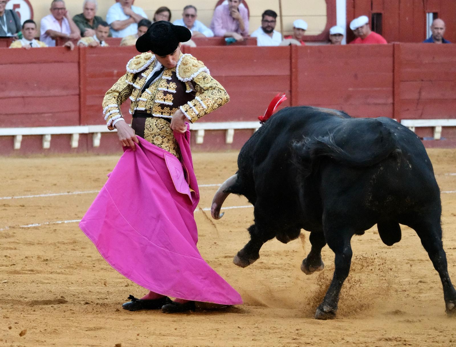 Toros en El Puerto