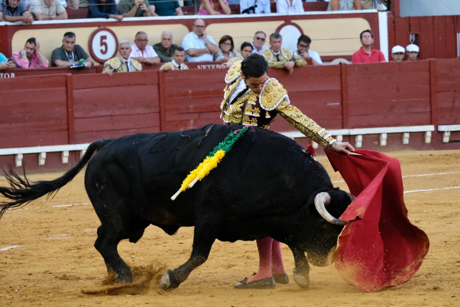 Toros en El Puerto