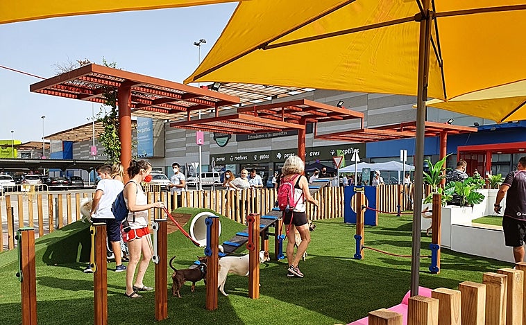 LUZ Shopping es Pet Friendly