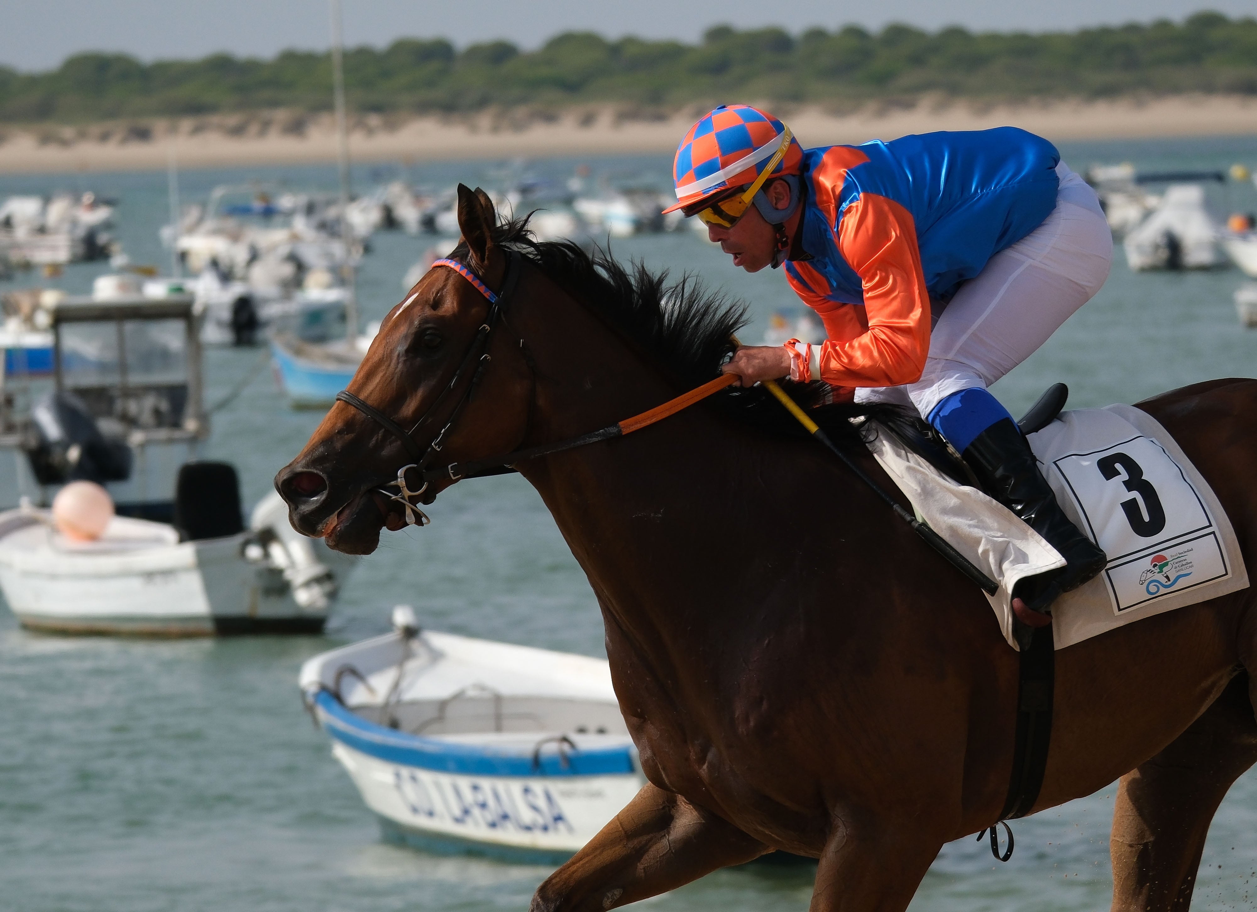 Las Carreras de Caballos de Sanlúcar regresan en todo su esplendor