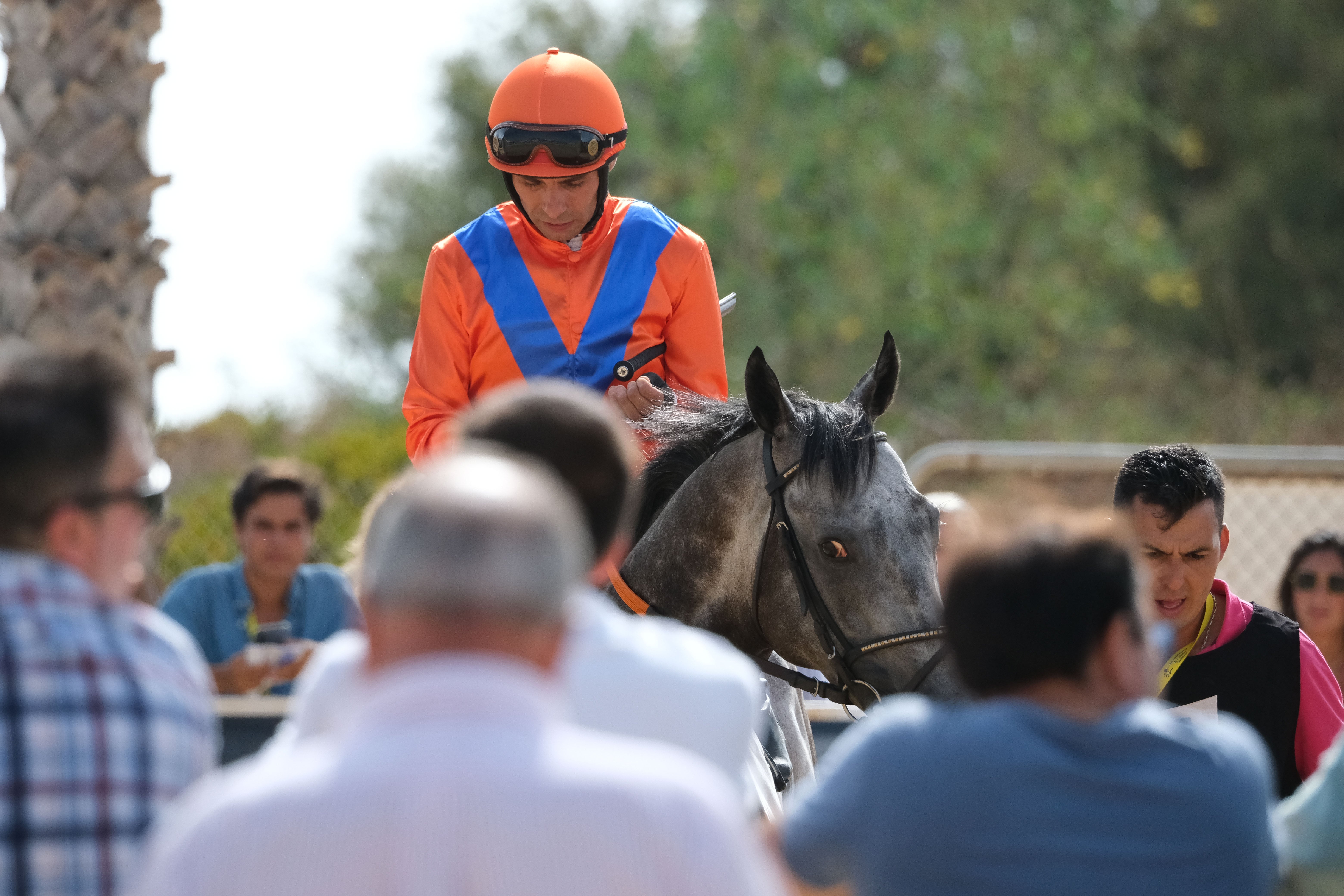 Las Carreras de Caballos de Sanlúcar regresan en todo su esplendor