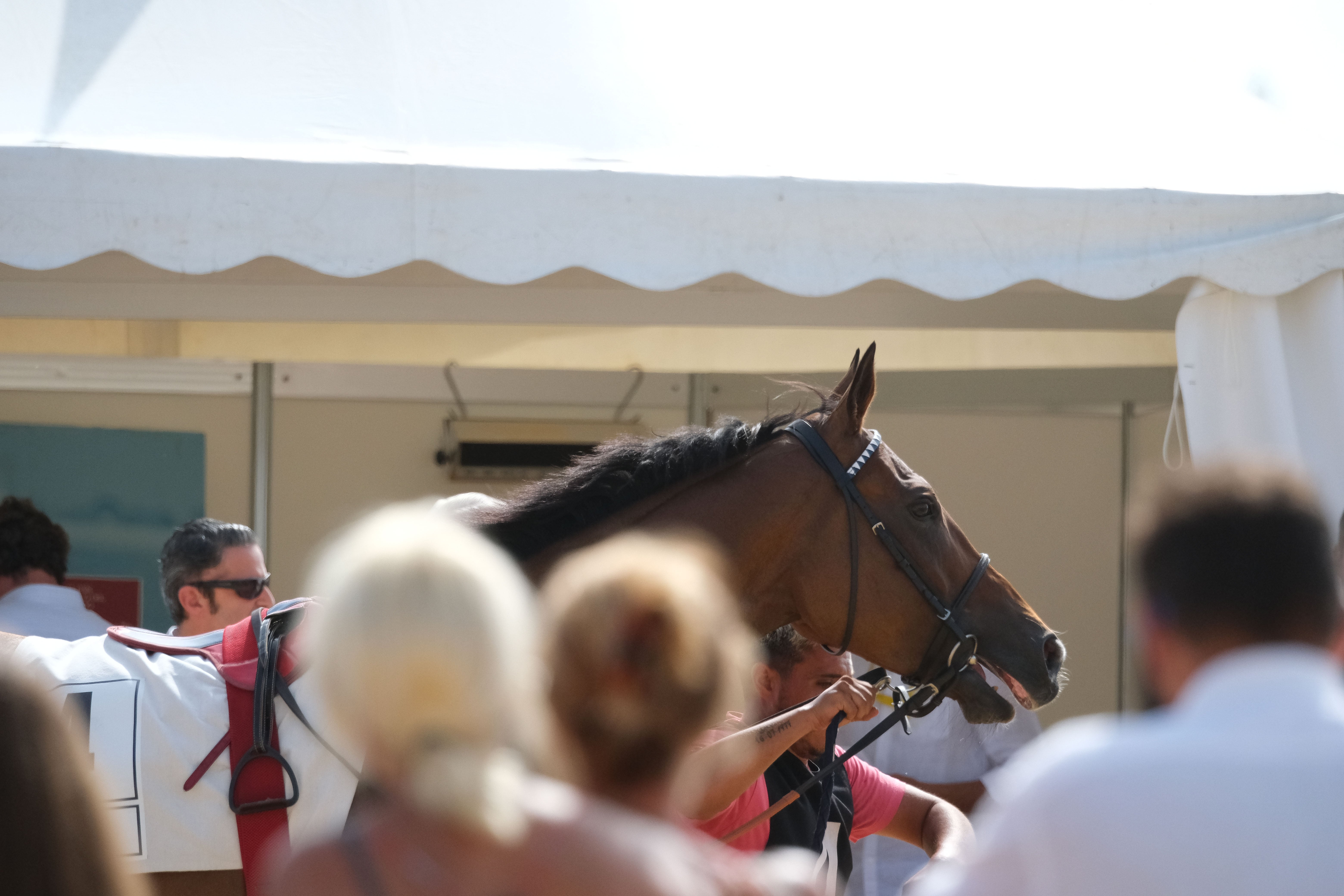 Las Carreras de Caballos de Sanlúcar regresan en todo su esplendor