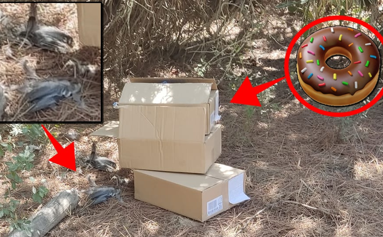 Cajas con comida en los alrededores de la playa