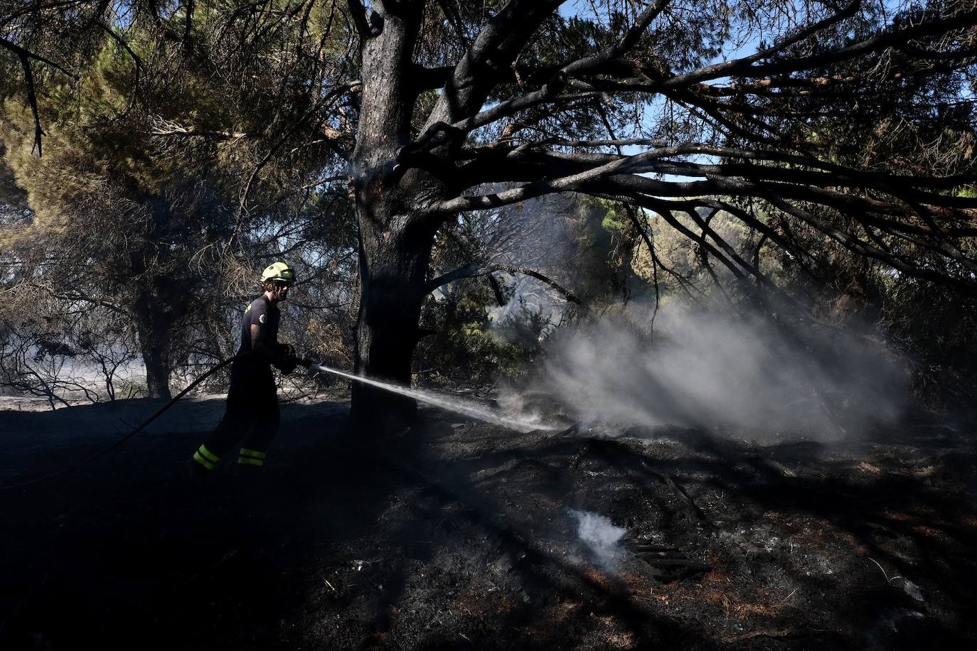 Las imágenes del incendio en Puerto Real