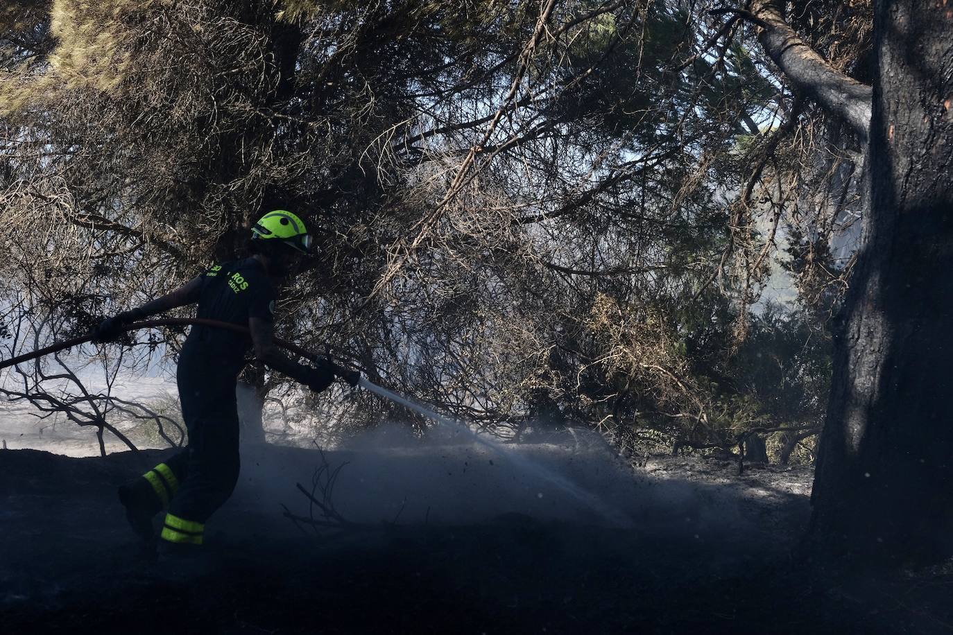 Las imágenes del incendio en Puerto Real