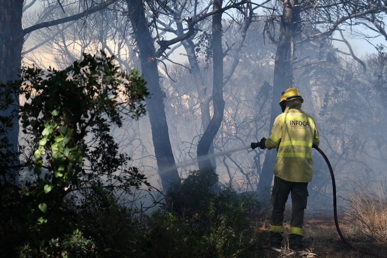 Las imágenes del incendio en Puerto Real