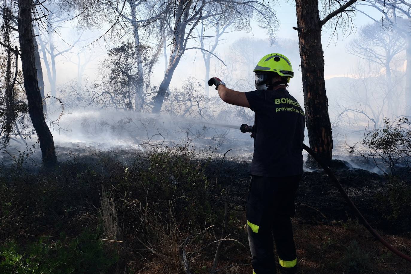 Las imágenes del incendio en Puerto Real