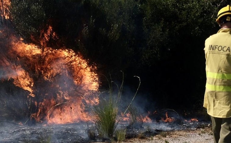 Las imágenes del incendio en Puerto Real