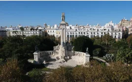 ¿Corren peligro los ficus centenarios de Cádiz?