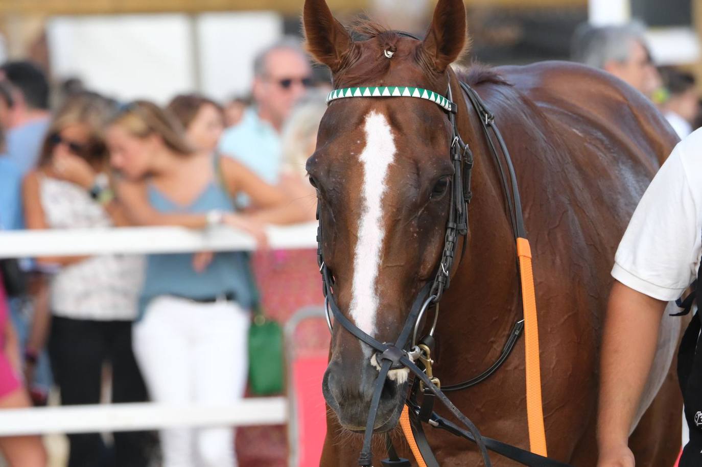 Las imágenes de las Carreras de Caballos de Sanlúcar