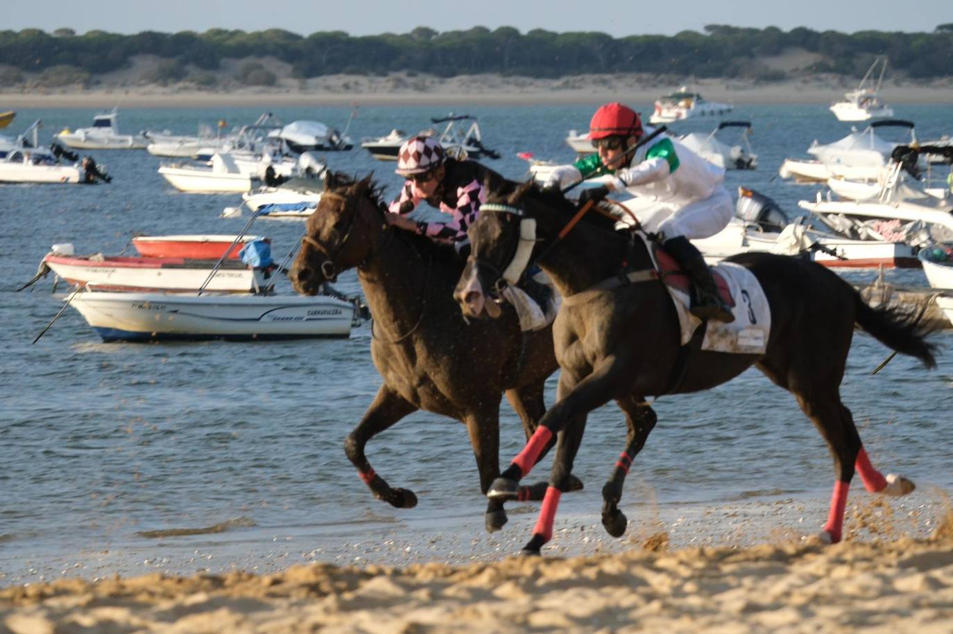 Las imágenes de las Carreras de Caballos de Sanlúcar