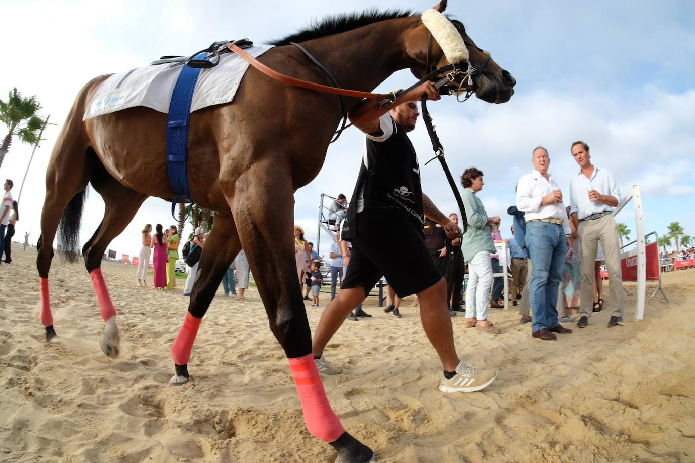 Las imágenes de las Carreras de Caballos de Sanlúcar