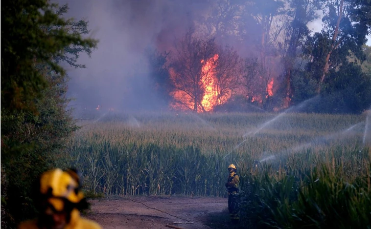 ¿Cuántas hectáreas han ardido en Cádiz? El fuego ofrece una pequeña tregua este verano