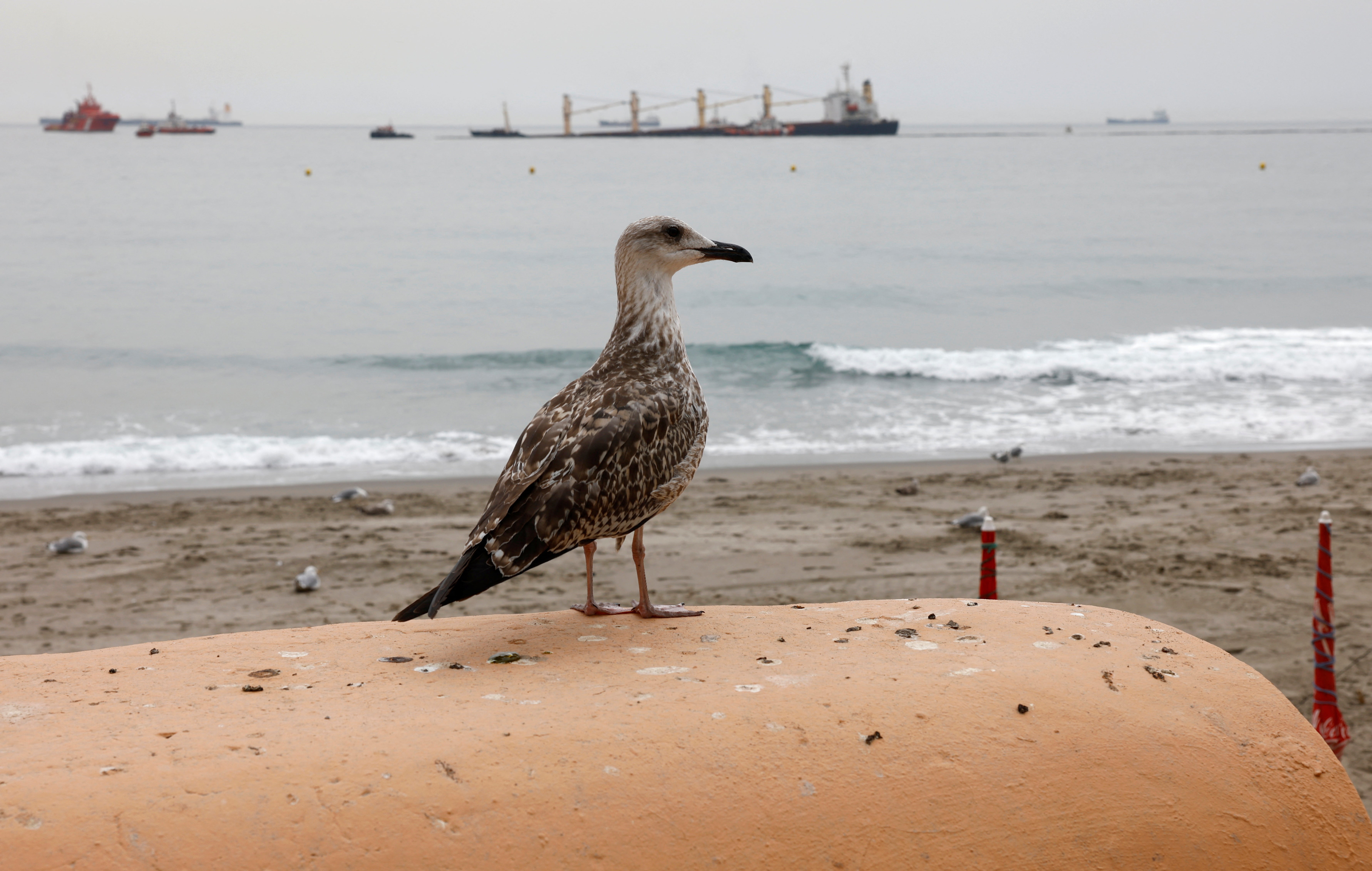 Fotos: el buque semihundido en Gibraltar