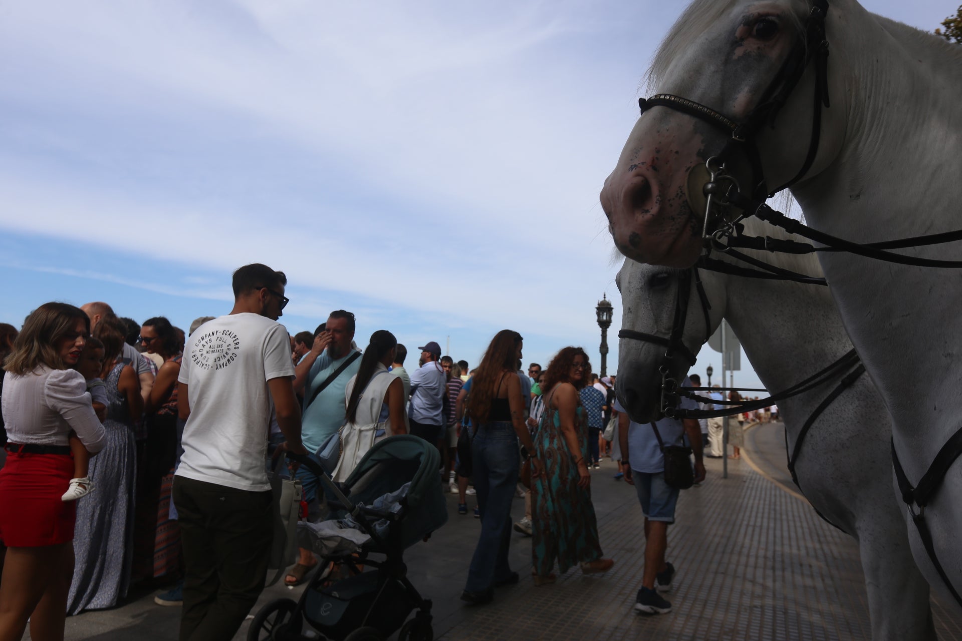 Búscate en las imágenes de Cádiz este domingo de SailGP