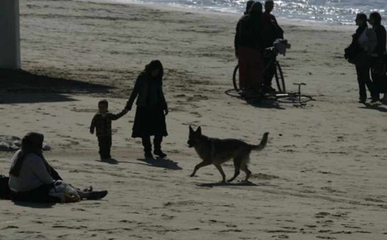 Amplían la ordenanza de poder llevar perros a las playas de Chiclana.