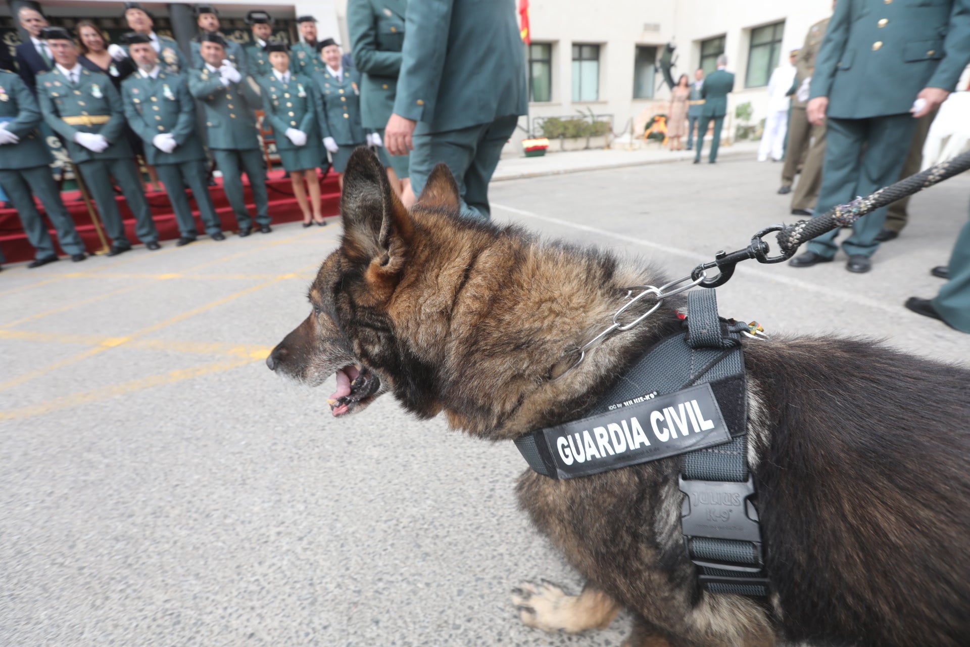 Fotos: La Guardia Civil celebra la festividad de su patrona en Cádiz