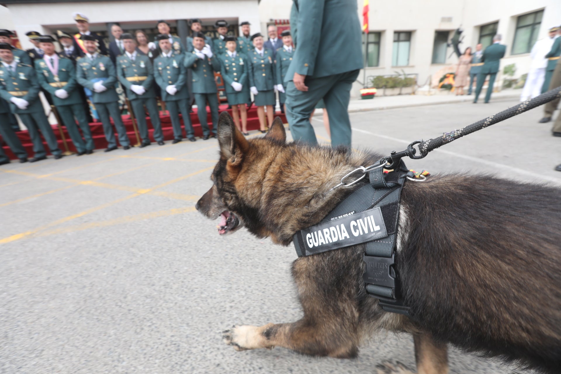 Fotos: La Guardia Civil celebra la festividad de su patrona en Cádiz