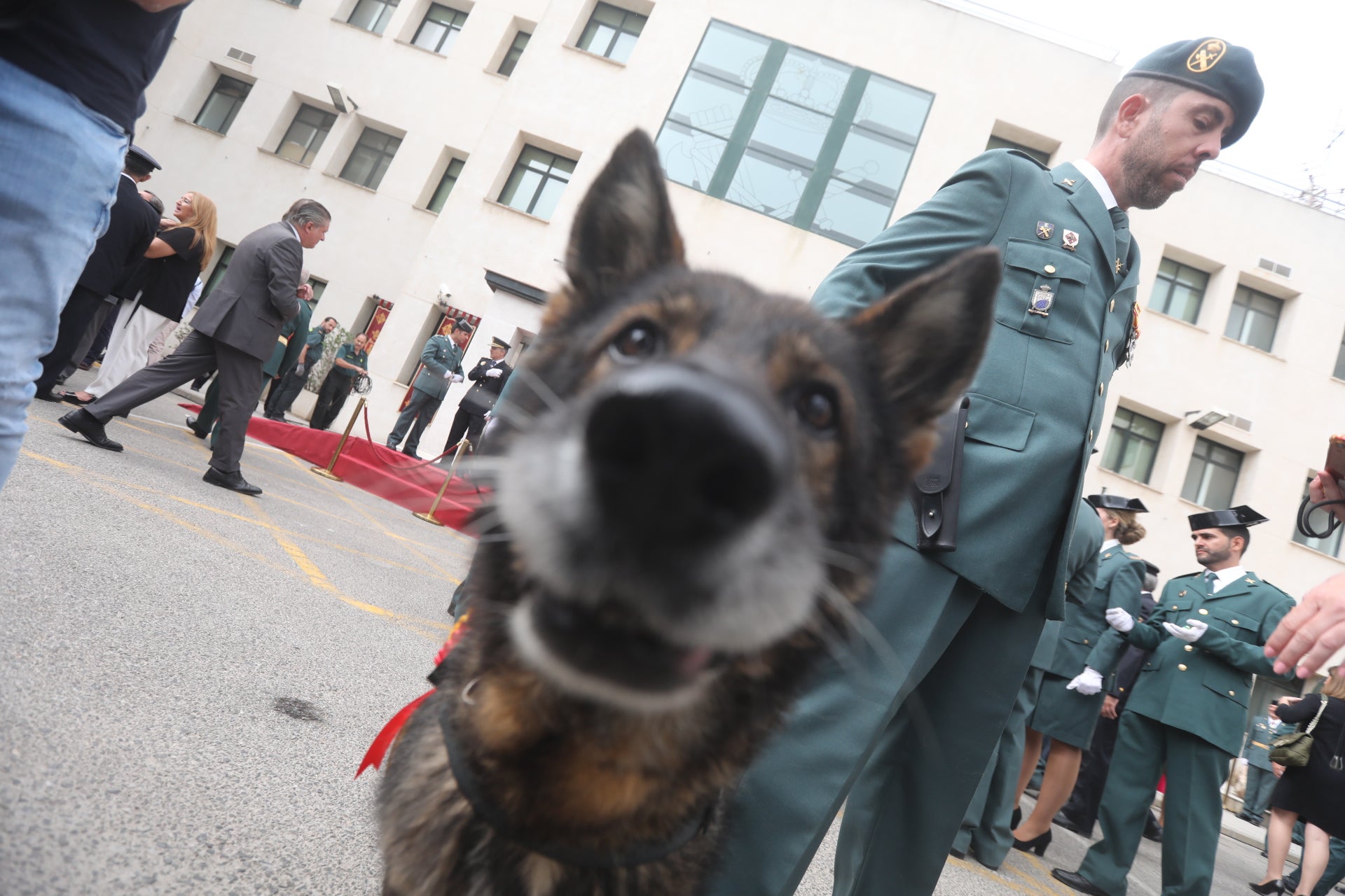 Fotos: La Guardia Civil celebra la festividad de su patrona en Cádiz