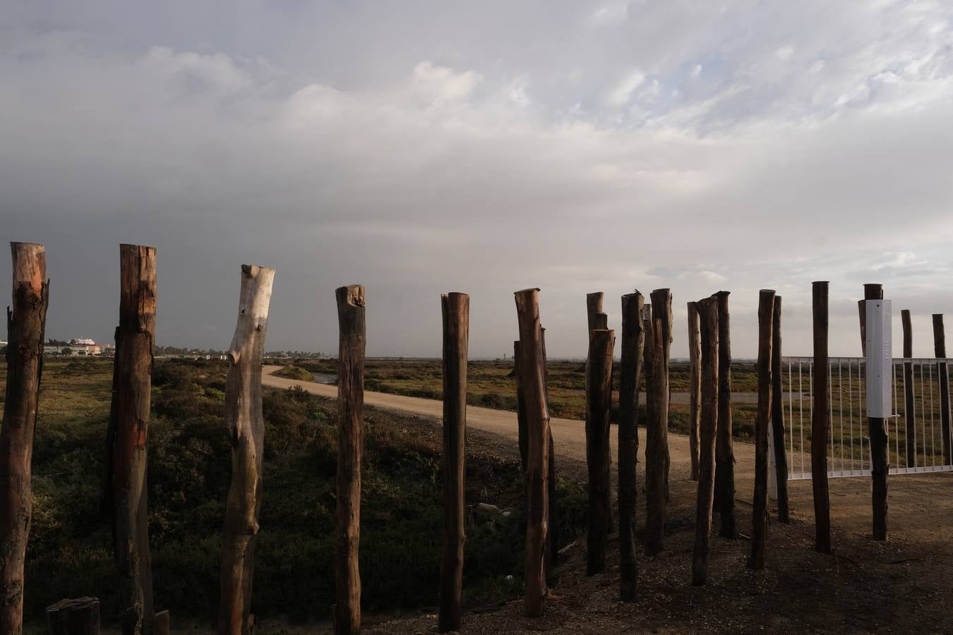 Así es la nueva vía ciclopeatonal entre San Fernando y Chiclana