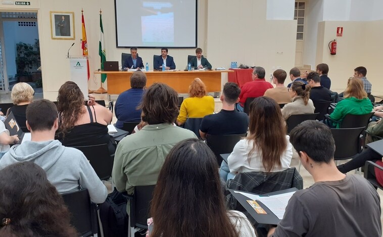 Abren investigación sobre el primer gran apagón de la historia de Cádiz