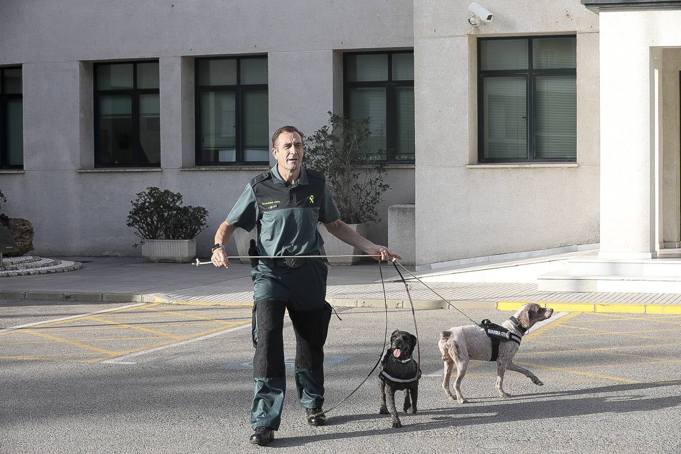 Fotos: Así se preparan los perros detectores de la Guardia Civil en Cádiz