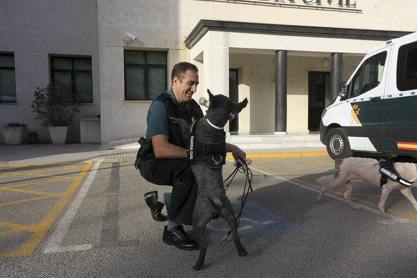 Fotos: Así se preparan los perros detectores de la Guardia Civil en Cádiz