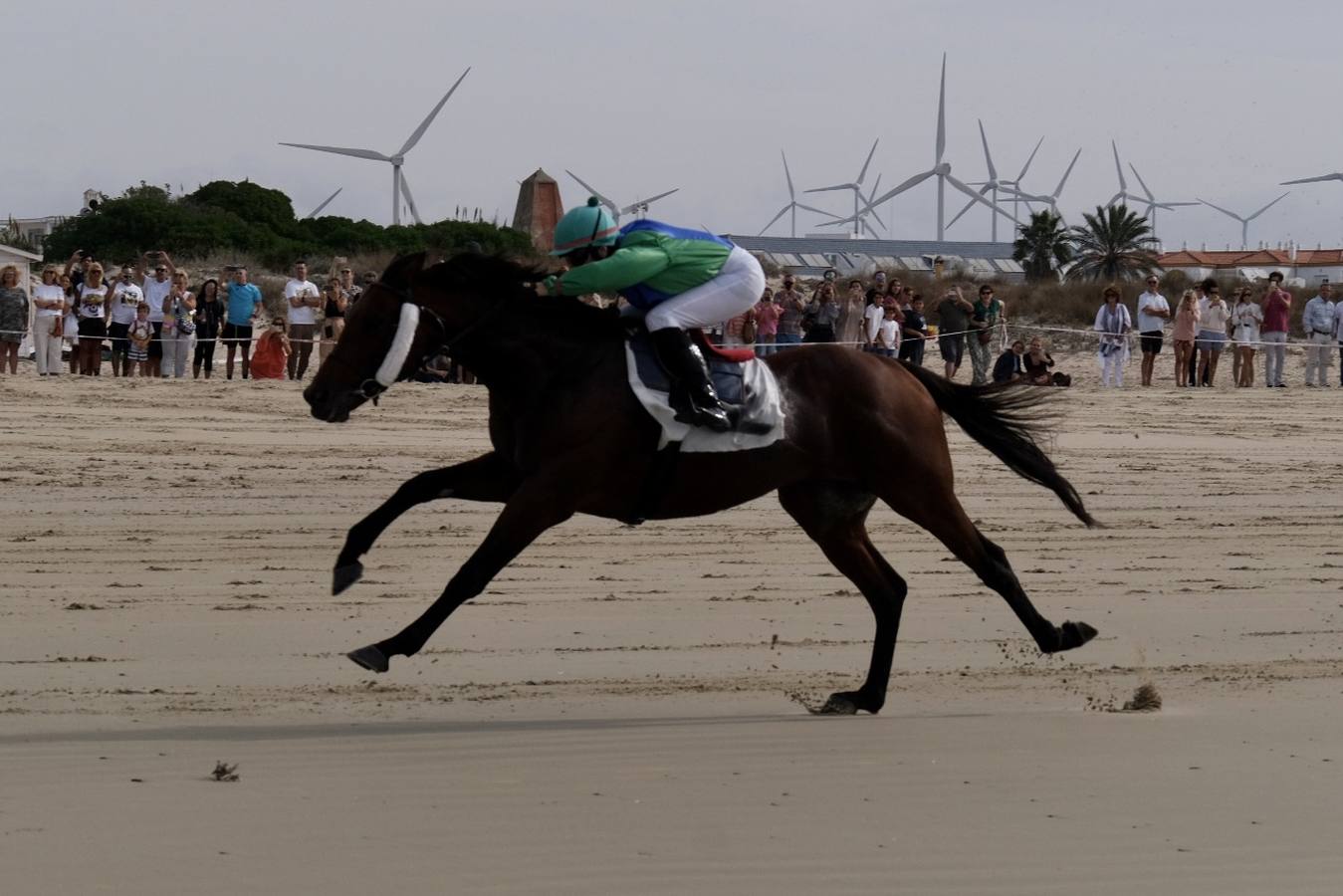 FOTOS: Carreras de caballos en la playa de Zahara de los Atunes