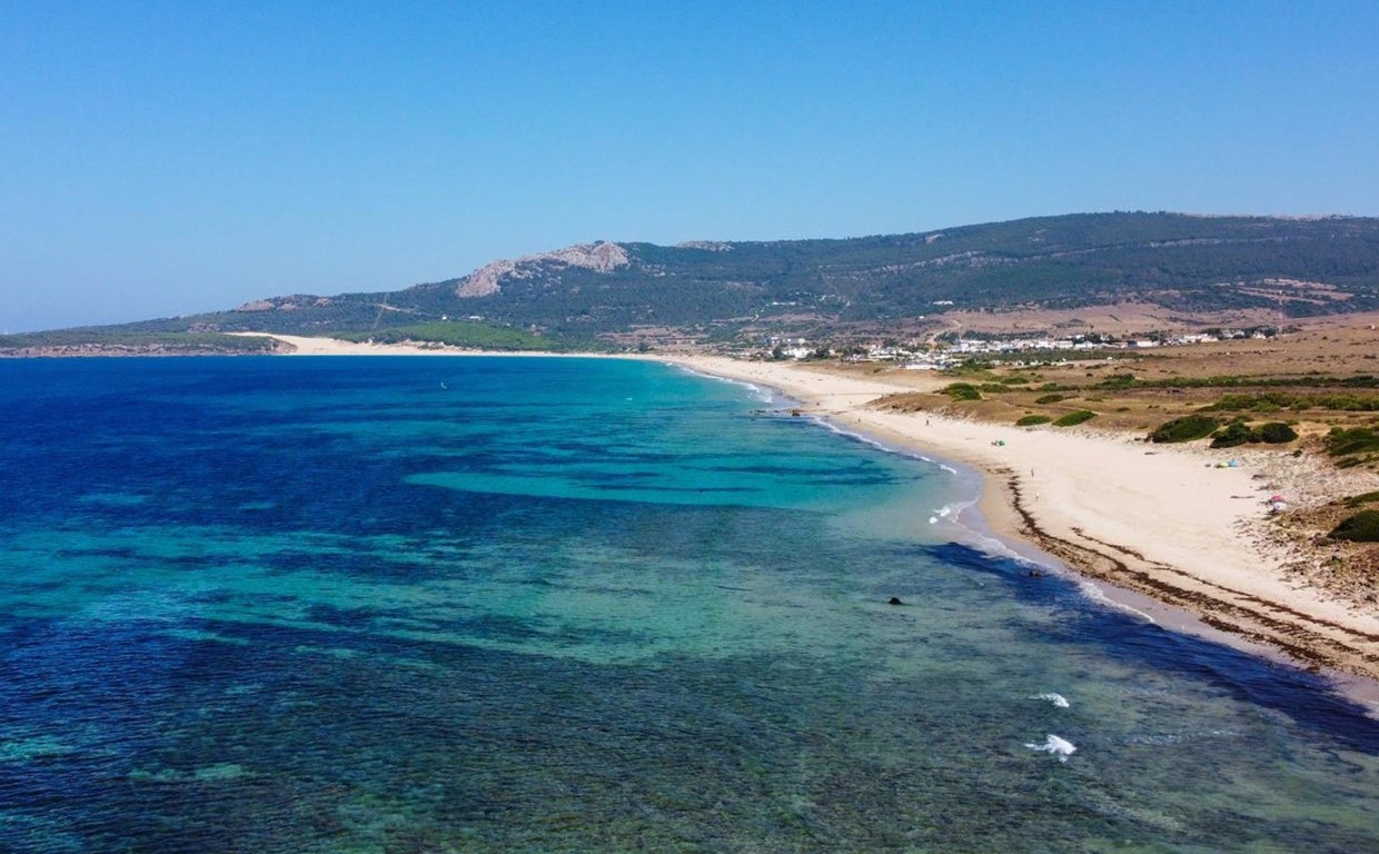 Playa de Bolonia repleta de algas.