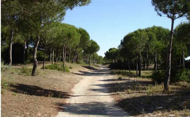 Sendero Cerro del Águila en Cádiz.