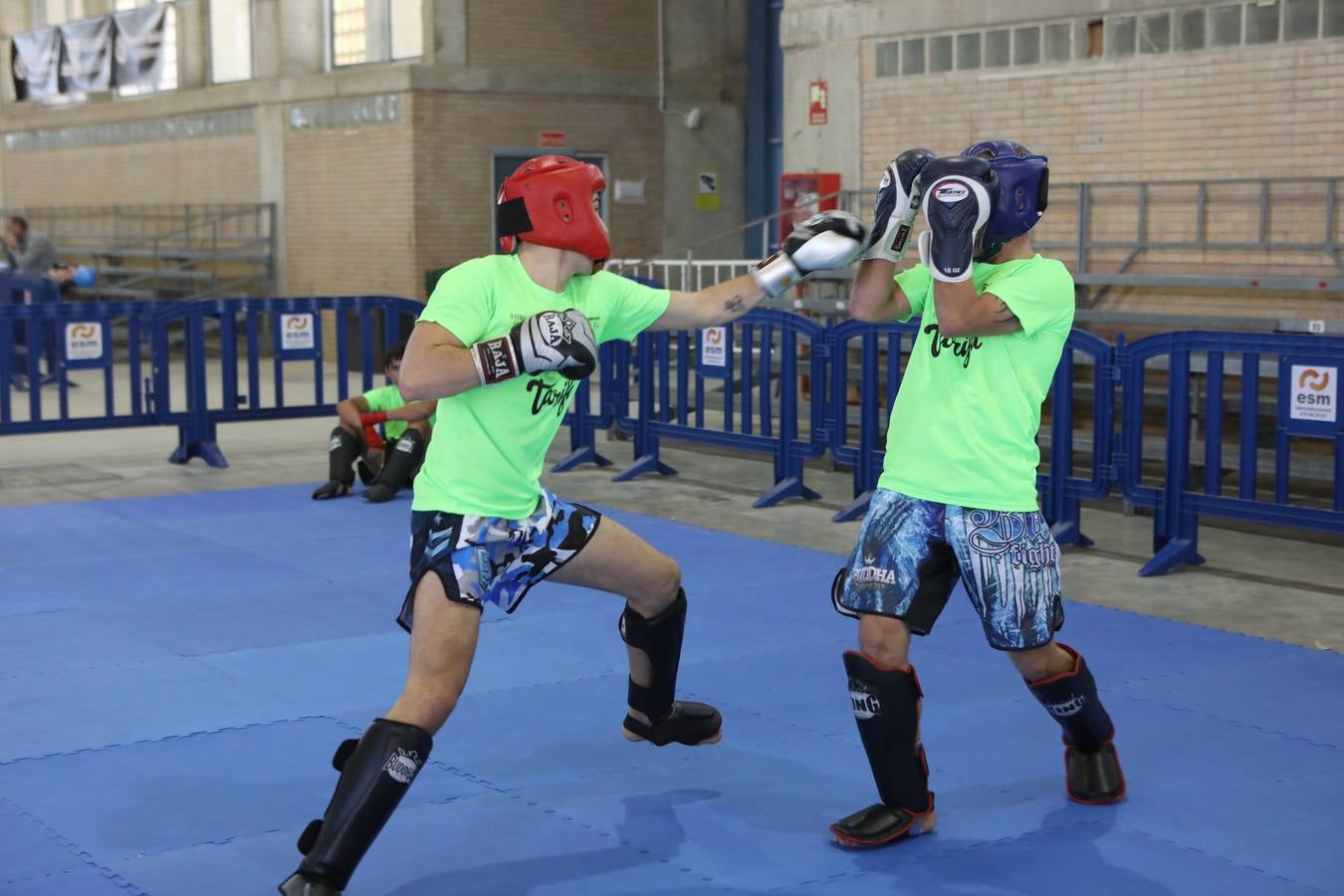 Fotos: Feria del Deporte y la Vida Sana