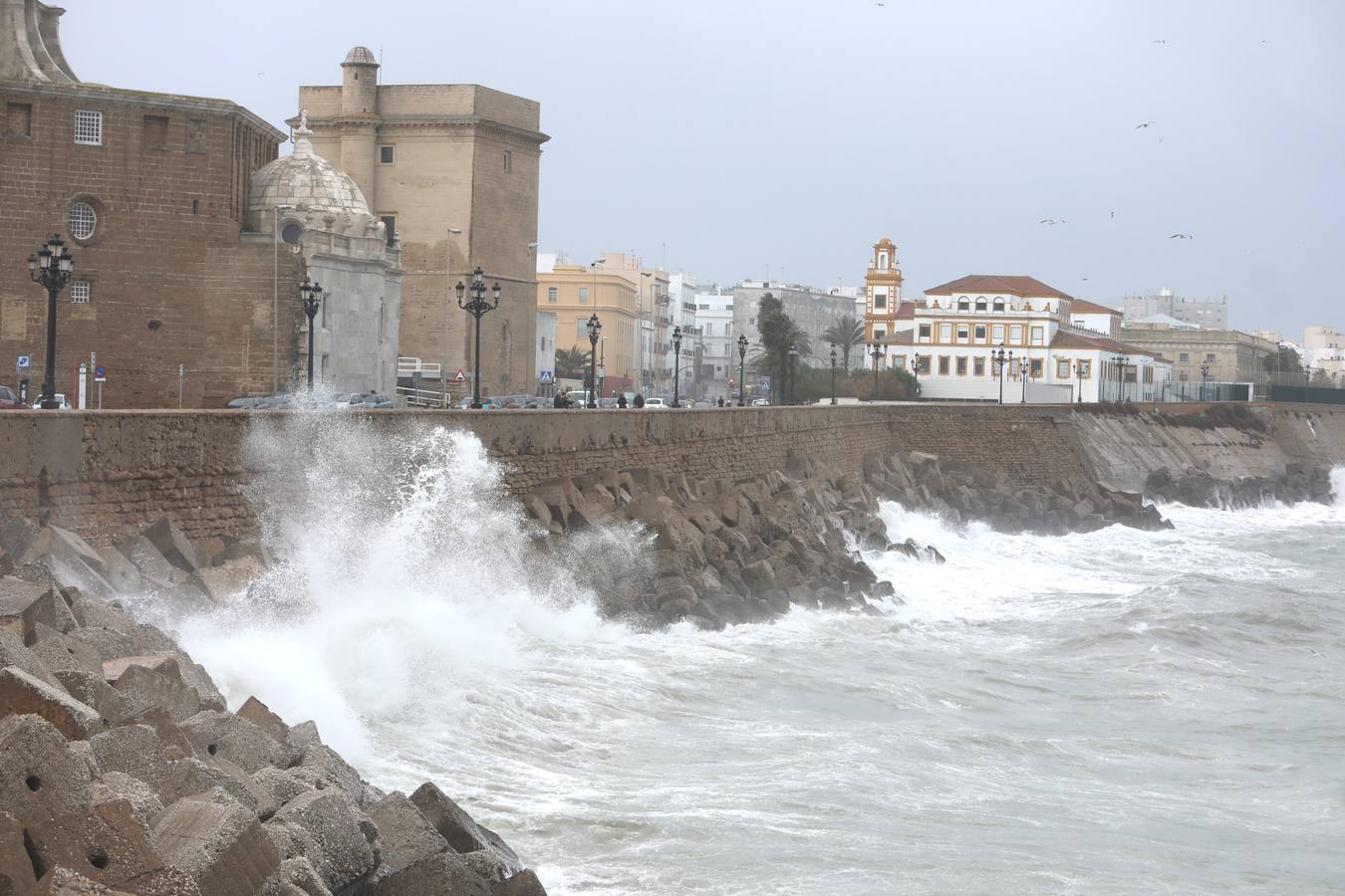 Fotos: El temporal de viento y lluvia en Cádiz, en imágenes