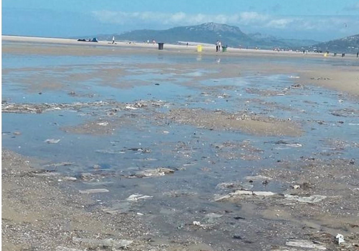 Imagen de toallitas en la playa de Los Lances.