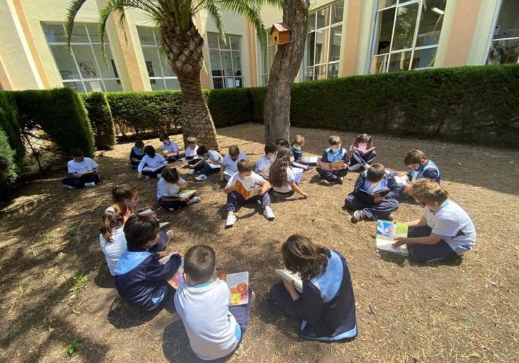 Los alumnos gaditanos de Primaria y ESO tendrán el próximo curso 2,5 horas semanales de lectura obligatoria