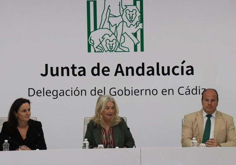 La Junta comienza en Cádiz sus jornadas sobre la estrategia de ayuda a la acción climática