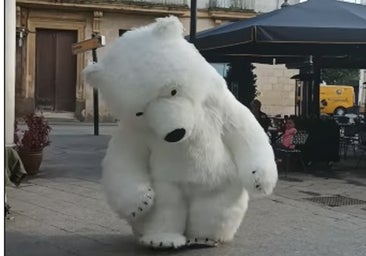 Estelar aparición del oso perjudicado de Cádiz en Jerez buscando las zambombas