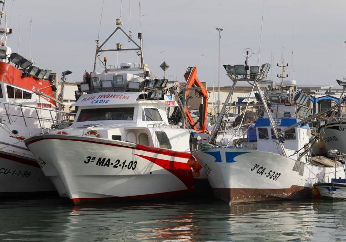 El Golfo de Cádiz incrementa sus cuotas de pesca para 2023.