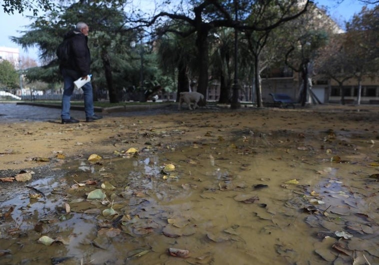 La Junta urge a resolver las deficiencias detectadas en las obras de la Plaza de España de Cádiz